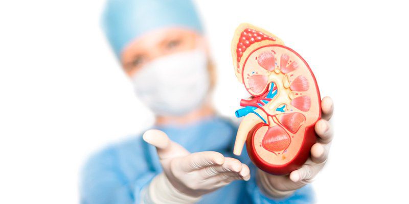urologia urologia