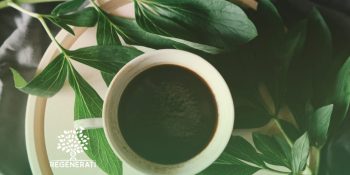 Café e o Cérebro – Tudo Sobre o Café e o Cérebro