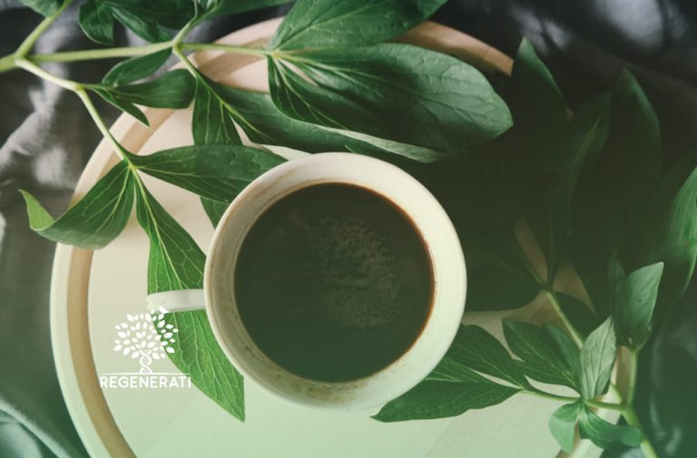 Café e o Cérebro – Tudo Sobre o Café e o Cérebro
