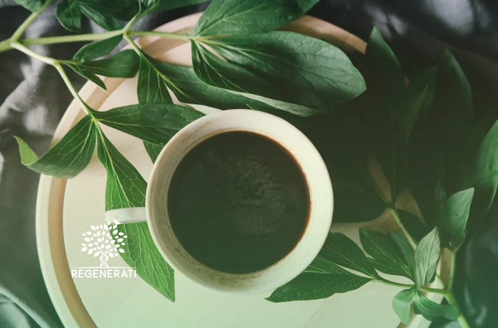 Café e o Cérebro