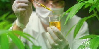 Canabidiol e Doença de Parkinson